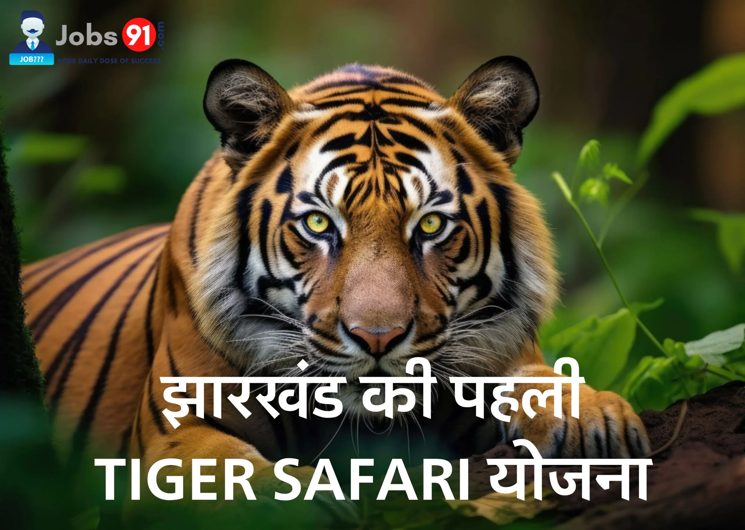 🐅 झारखंड की पहली टाइगर सफारी: संरक्षण और पर्यटन की नई पहल 🌿