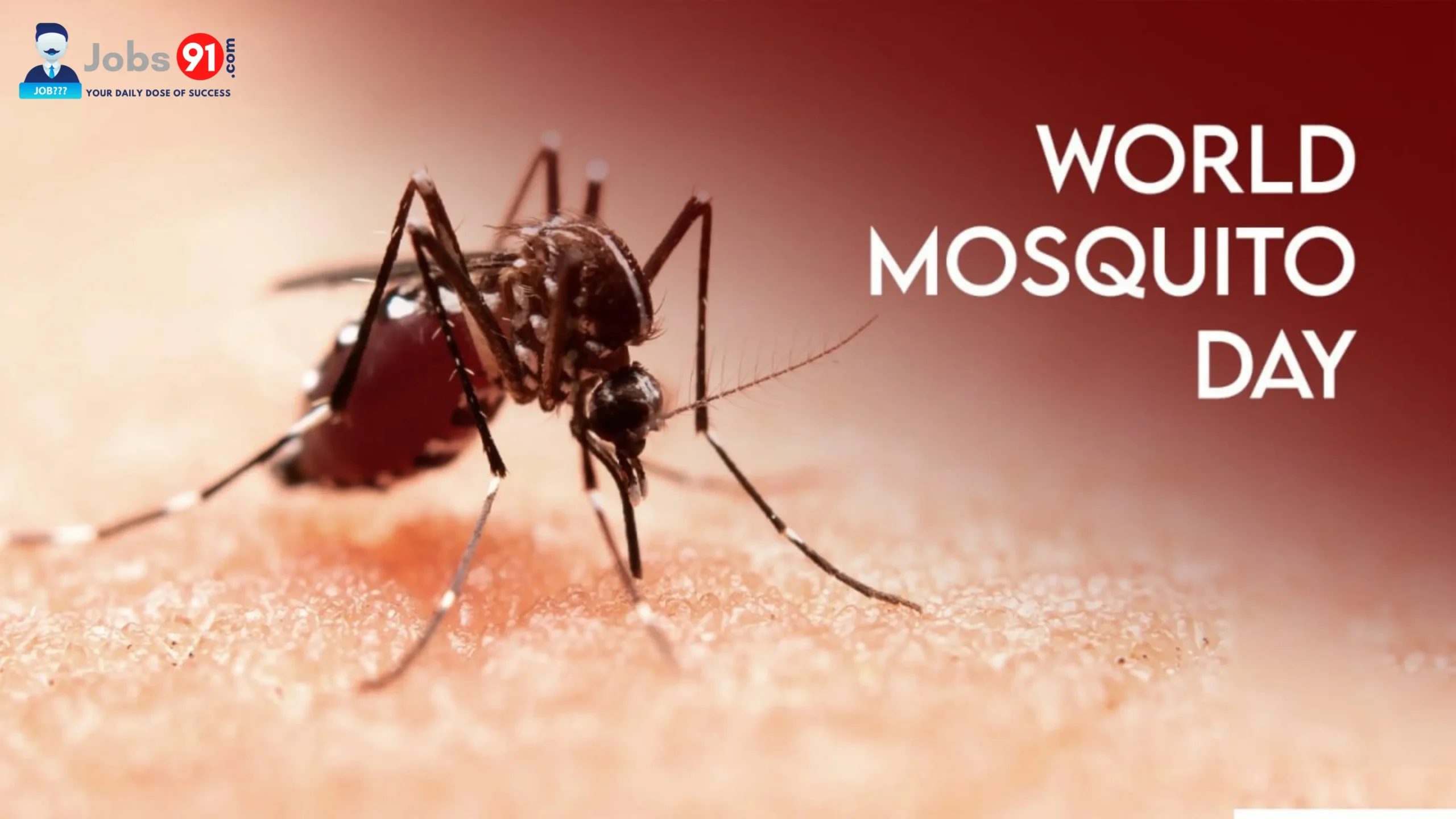 World Mosquito Day 2025