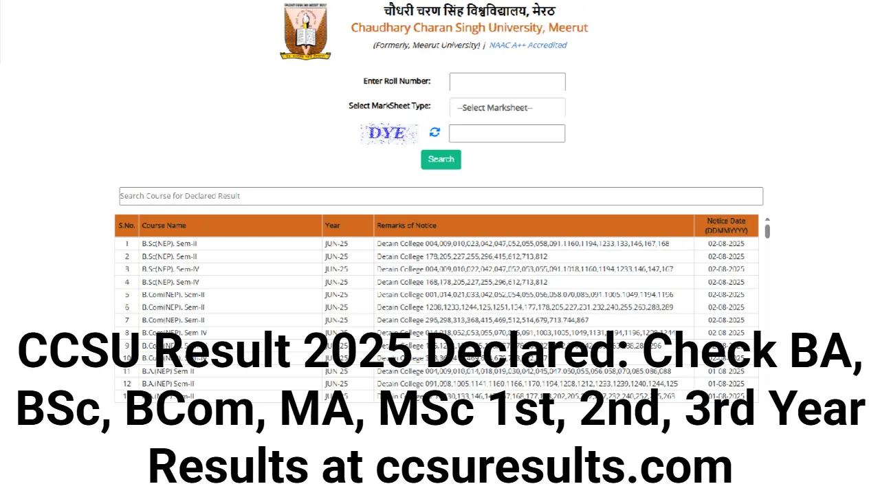 ccsu-jobs91